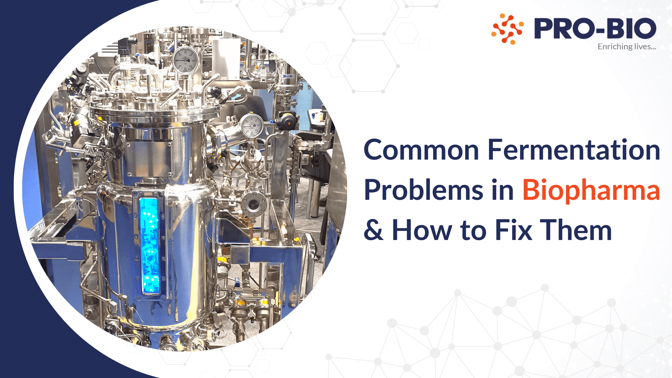 Key-Factors-to-Consider